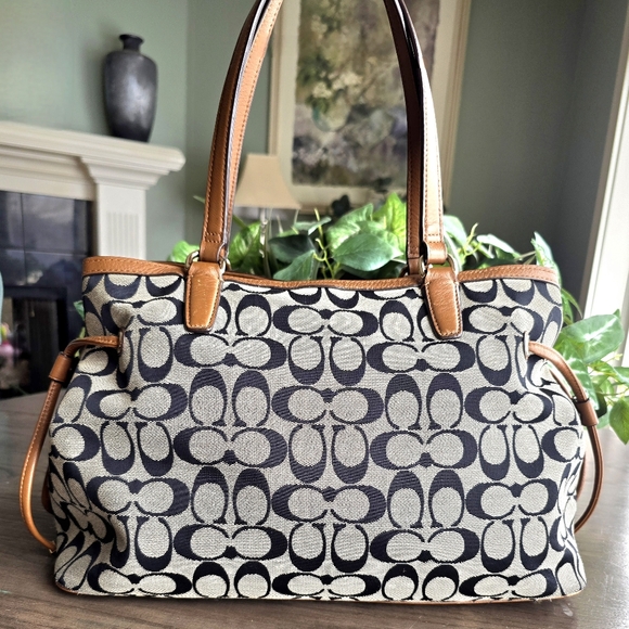 Coach Signature Python Embossed Stripe Drawstring Carryall - Picture 5 of 16